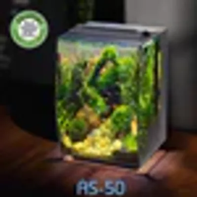 Buy ADA Cube Garden 60x30x25 | East Ocean Aquatic from Largest